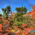 Фото природы Анапы в HDR